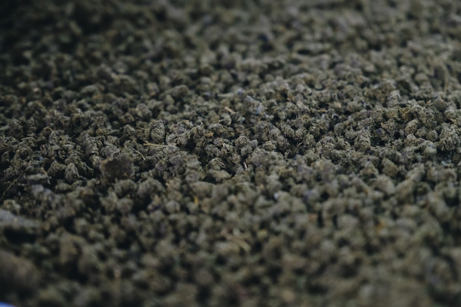 carpet steam cleaning