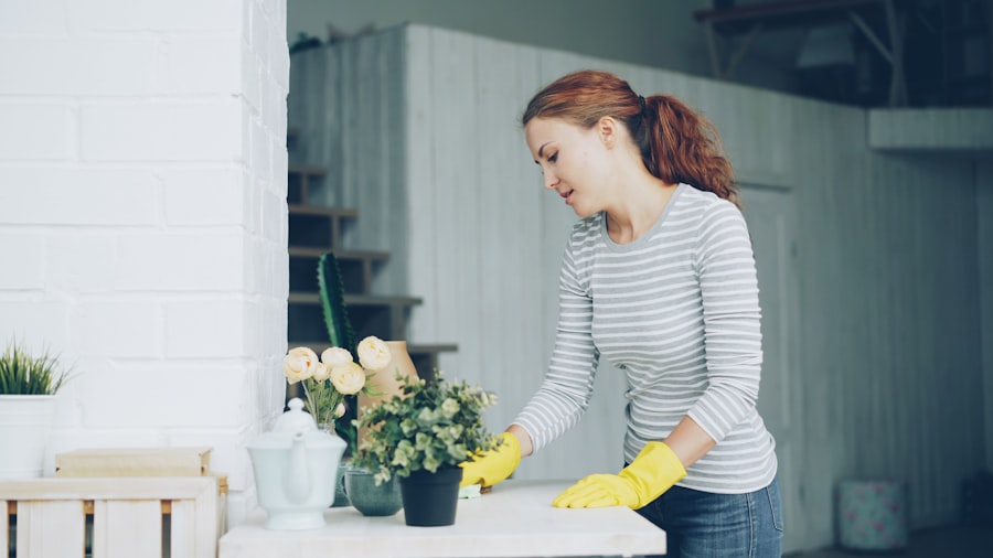 professional cleaners 