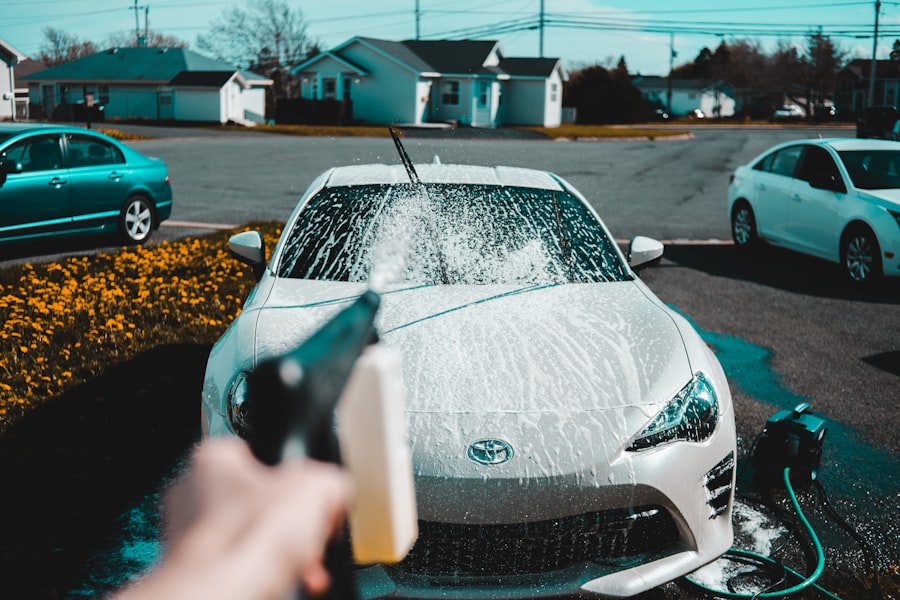 bond cleaning 
