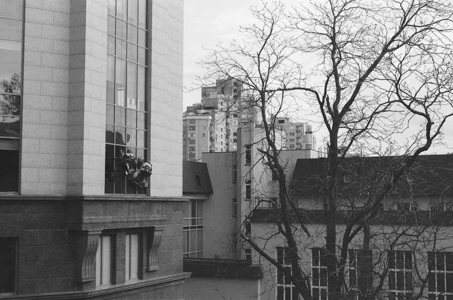 Affordable Window Cleaning in Melbourne: Get Sparkling Clean Windows Today