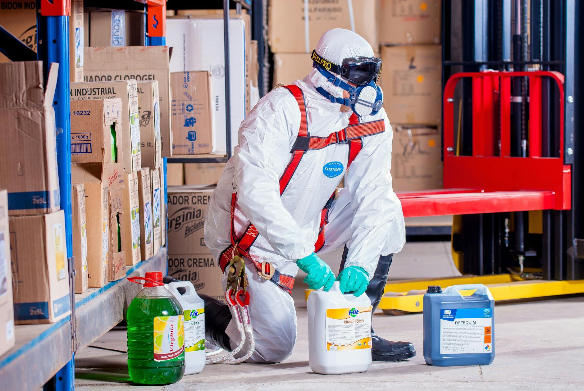Bond Cleaning, Carpet Cleaning and Steam Cleaning