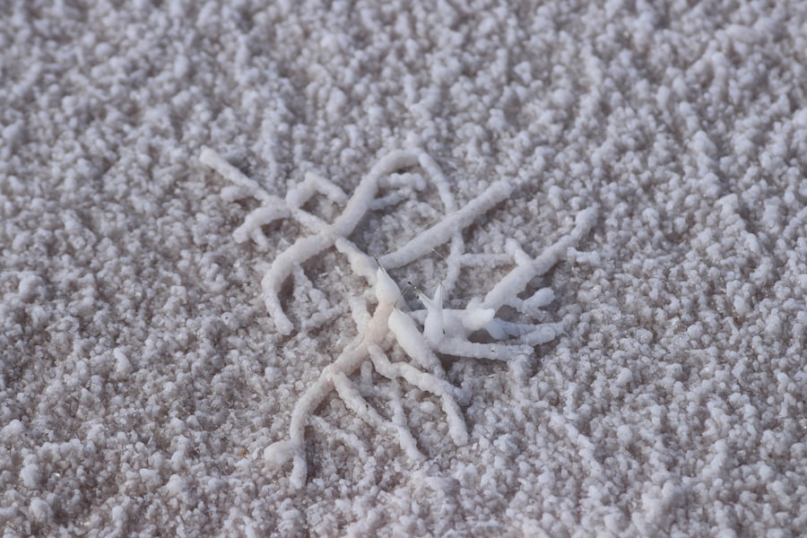 Carpet Cleaners
