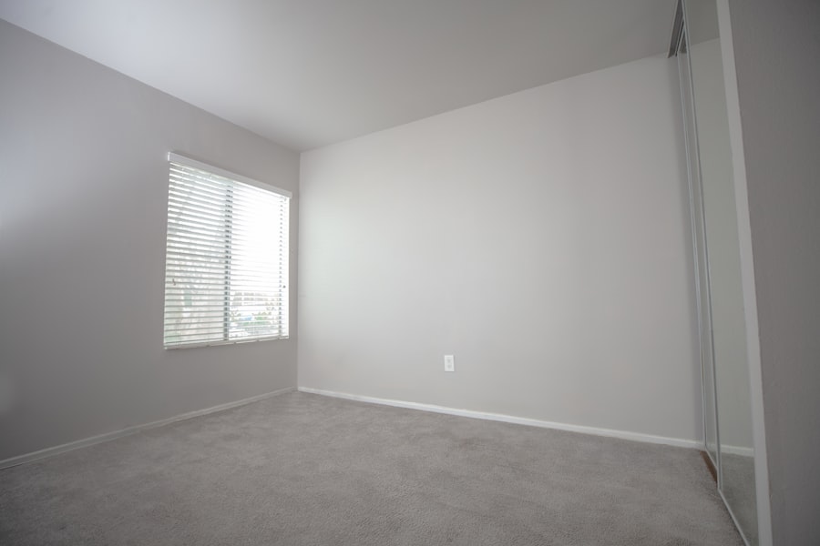 Carpet Cleaning