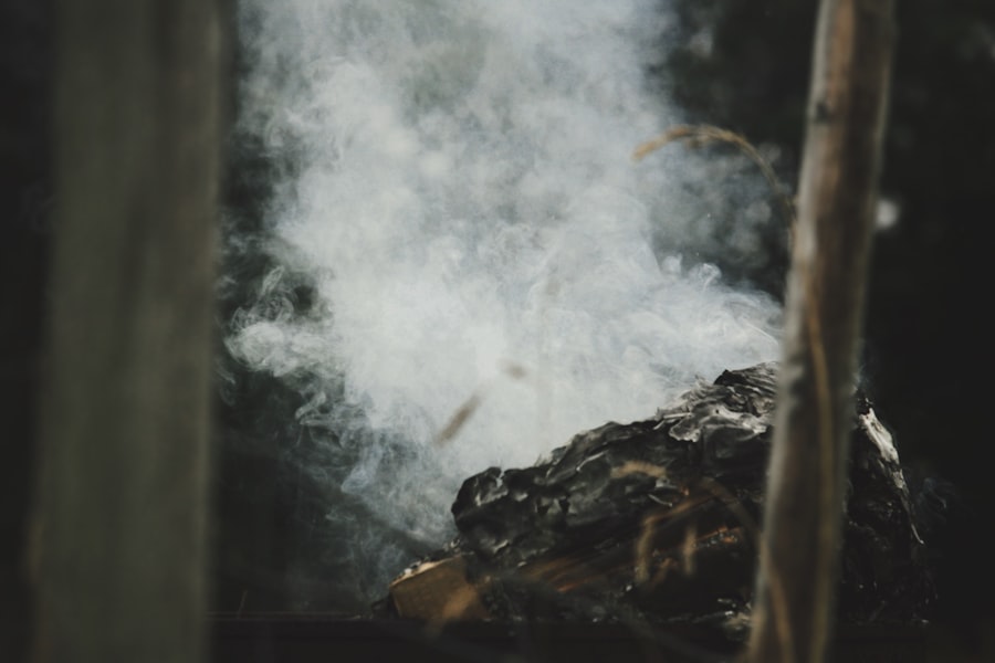 Dry Steam Cleaning 
