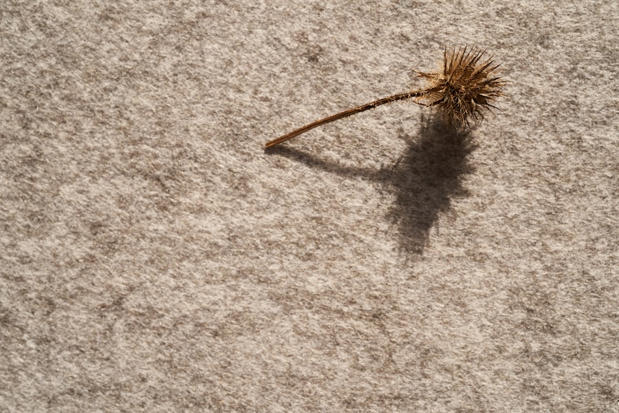 Photo Carpet Cleaning Schedules