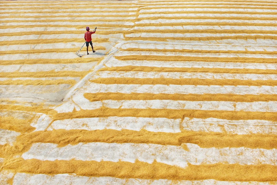 Photo Mattress Cleaning