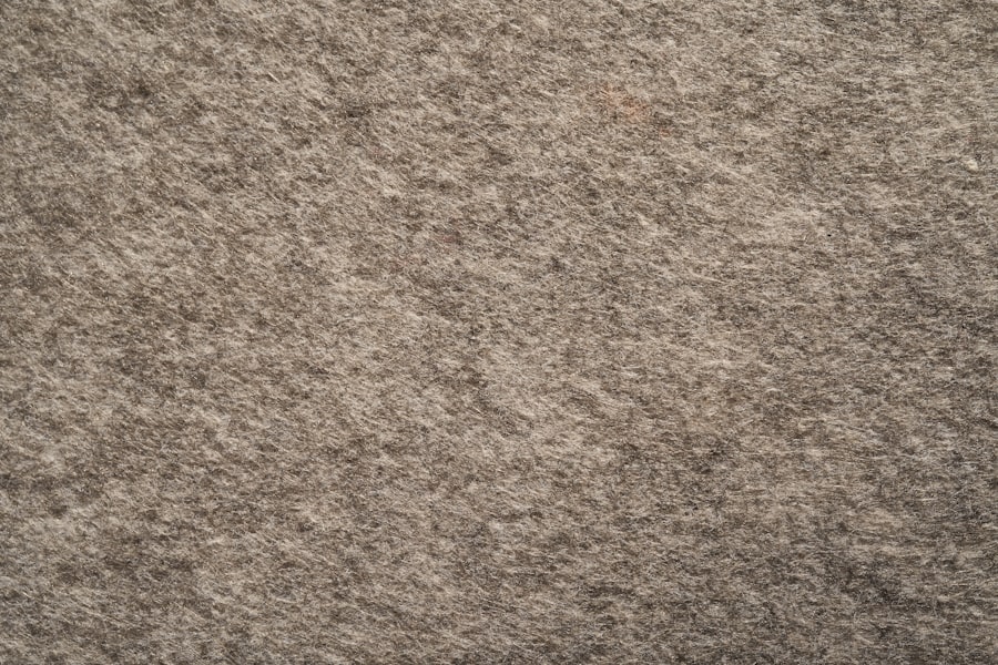 Photo Carpet Cleaning Service