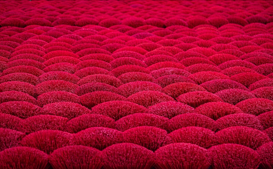 Photo Cleaning Carpet