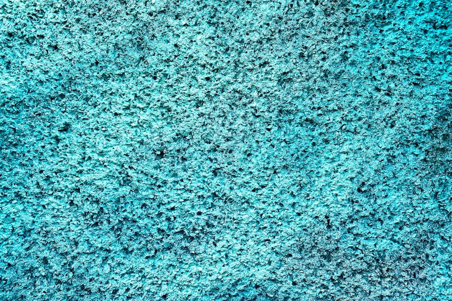 Photo Carpet Cleaner