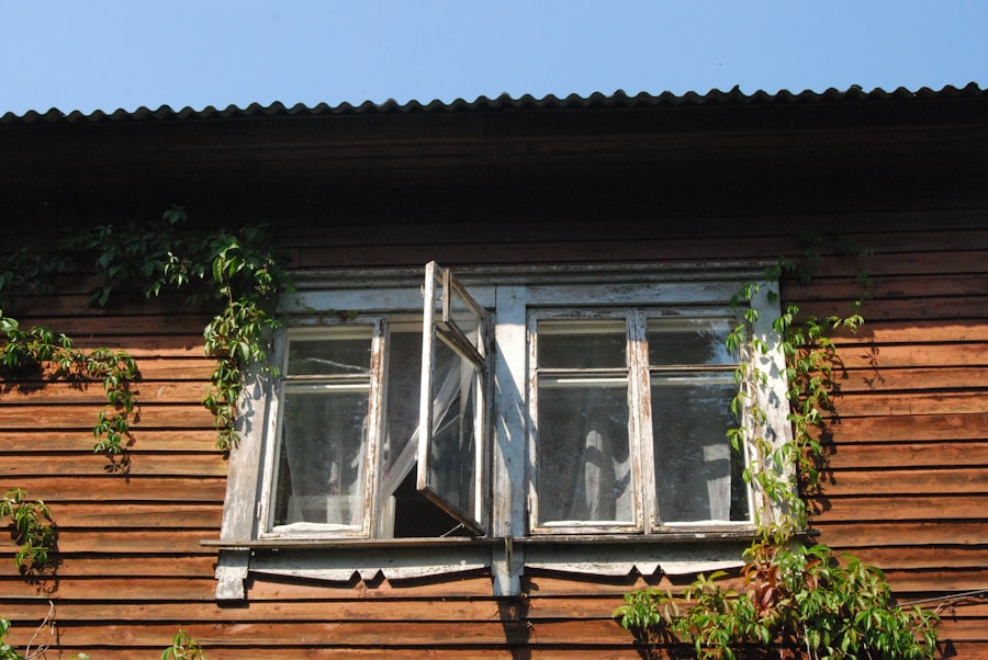 Photo Clean Windows