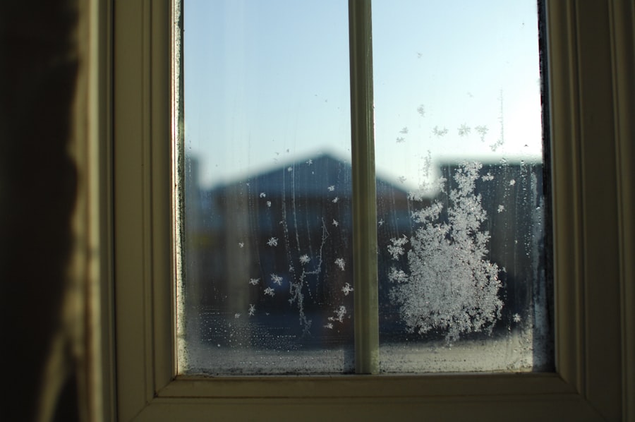 Photo Window Cleaning Advice