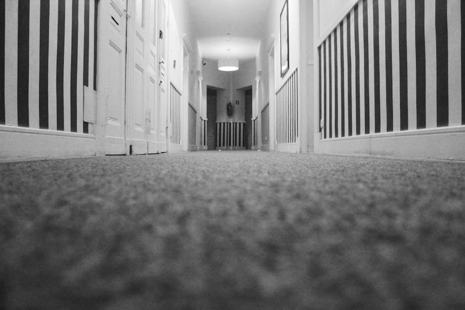 carpet clean service